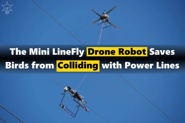 Mini LineFly Drone Stops Bird Collisions with Power Lines – Scholarsquare