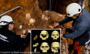 Breakthrough! Evidence Of Previously Unknown Prehistoric Humans Who Lived In Europe More Than 1.1 Million Years Ago! – Scholarsquare