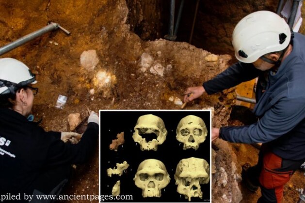 Breakthrough! Evidence Of Previously Unknown Prehistoric Humans Who Lived In Europe More Than 1.1 Million Years Ago! – Scholarsquare