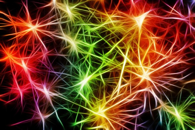 Sleeping Astrocytes: Failures and Successes on the Journey to Publication – Scholar Square